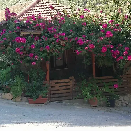 Elena's House Lefkadas Syvota