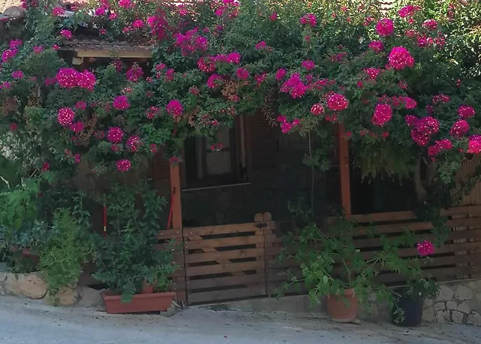 Elena's House Lefkadas 시보타